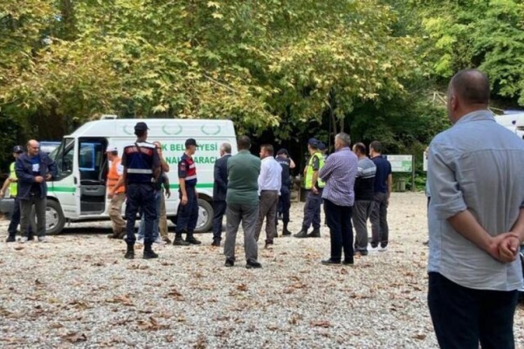 Sinop'ta &uuml;zerlerine ağa&ccedil; devrilen 2 kişi &ouml;ld&uuml;