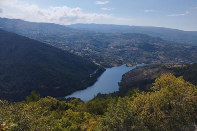 Bursa'nın 'k&uuml;&ccedil;&uuml;k Karadeniz'i! Yılda 60 ton fındık &uuml;retiliyor