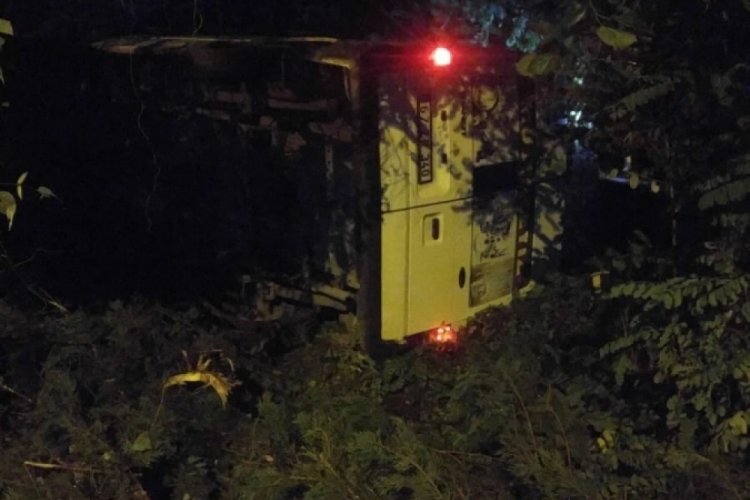 Zonguldak'ta yoldan &ccedil;ıktı, ormanlık alana u&ccedil;tu