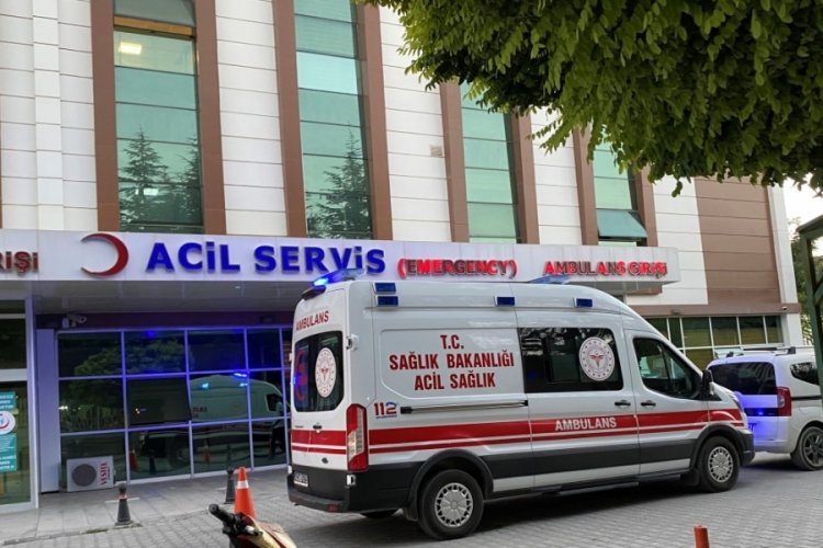 Ceviz hasadı yaparken canından oluyordu