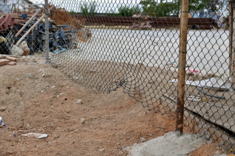 3 pitbull cinsi k&ouml;pek 12 kediyi telef etti
