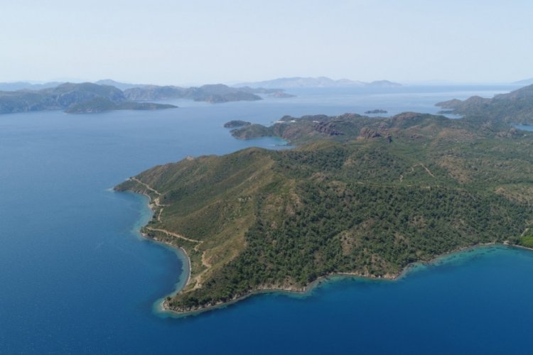 T&uuml;rkiye tarihinin en b&uuml;y&uuml;k yangınlarında yeşile d&ouml;n&uuml;ş y&uuml;zde 80 tamamlandı