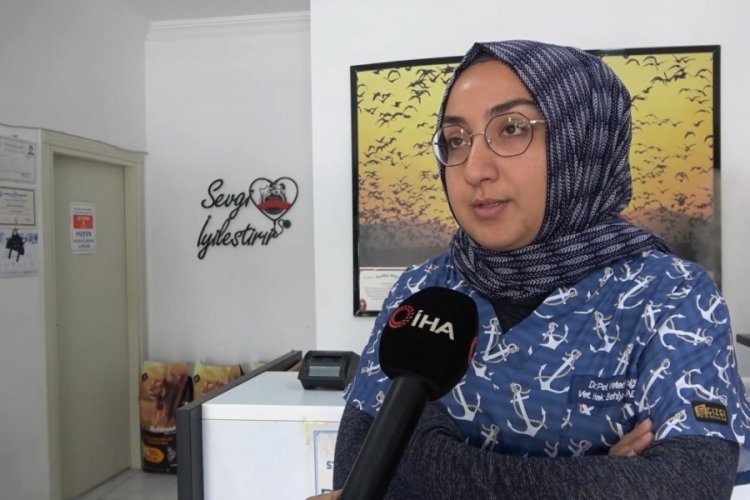 Hayvanları ve klinik g&ouml;revlilerini kesmekle tehdit edip, saldırdı