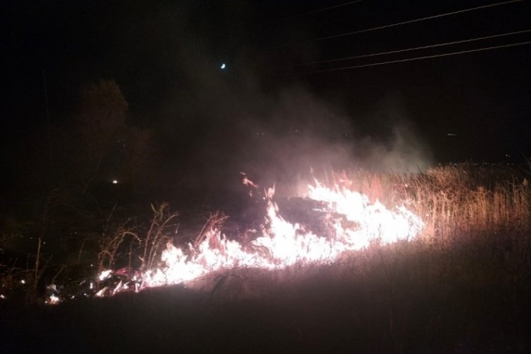Isparta'da g&ouml;l kenarındaki sazlık yangını b&uuml;y&uuml;meden s&ouml;nd&uuml;r&uuml;ld&uuml;