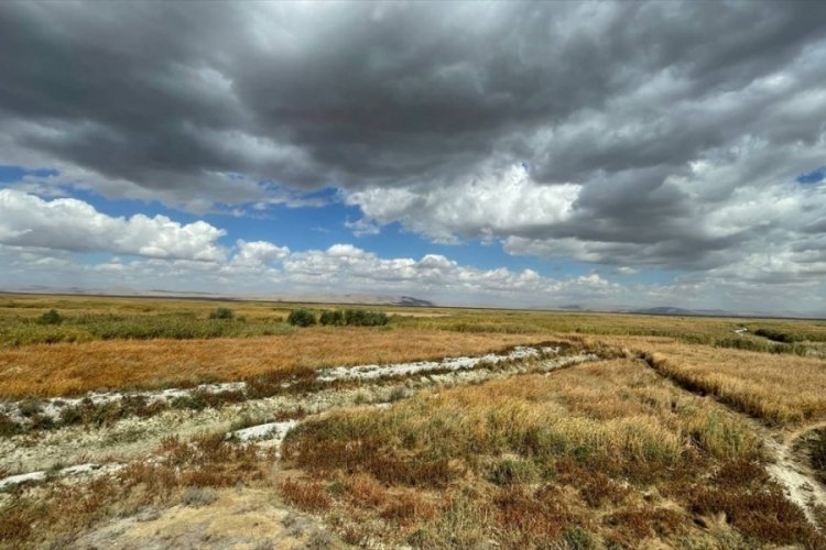 Akşehir G&ouml;l&uuml; tamamen kurudu: Artık hayvanlar otluyor