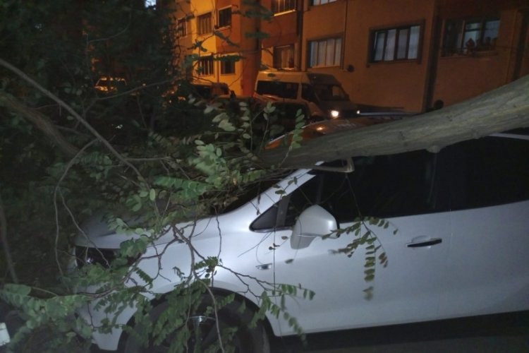 Trabzon'da şiddetli r&uuml;zgar etkili oldu