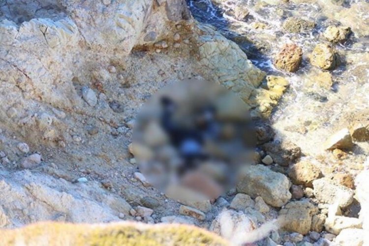 İzmir Fo&ccedil;a'da korkun&ccedil; olay! 10 g&uuml;n arayla bir ceset daha bulundu