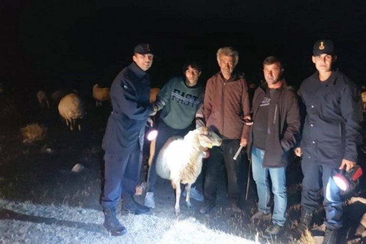Karaman'da kaybolan koyunları drone ile buldular