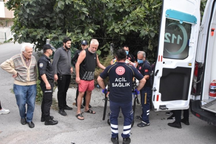 Sinop'ta incir ağacından d&uuml;şen şahıs yaralandı