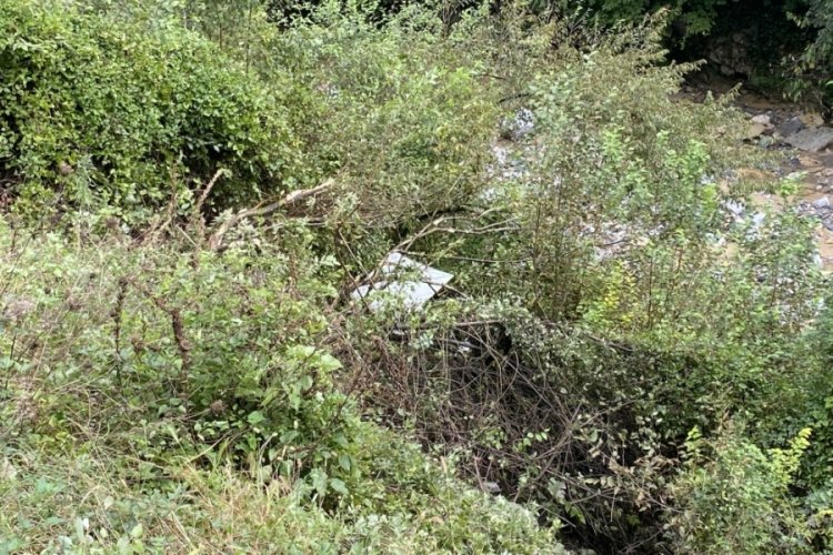 Zonguldak'ta yoldan &ccedil;ıkan otomobil 30 metreden ormanlık alana u&ccedil;tu