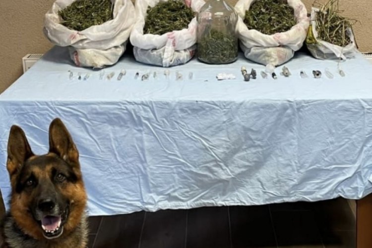 Sakarya'da d&uuml;zenlenen operasyonda 5 kilo uyuşturucu ele ge&ccedil;irildi