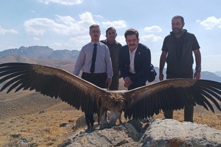 Hakkari'de Hayvanları Koruma G&uuml;n&uuml;'nde &ouml;zg&uuml;l&uuml;ğe kanat &ccedil;ırptı