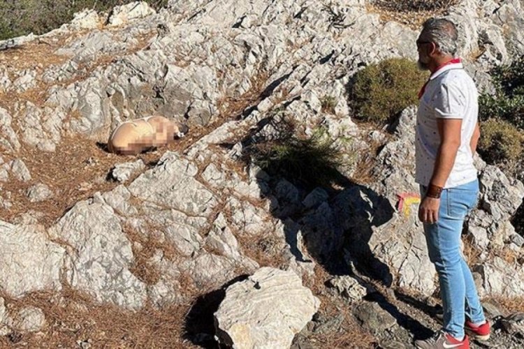 Muğla'da kanlı paket ekipleri harekete ge&ccedil;irdi