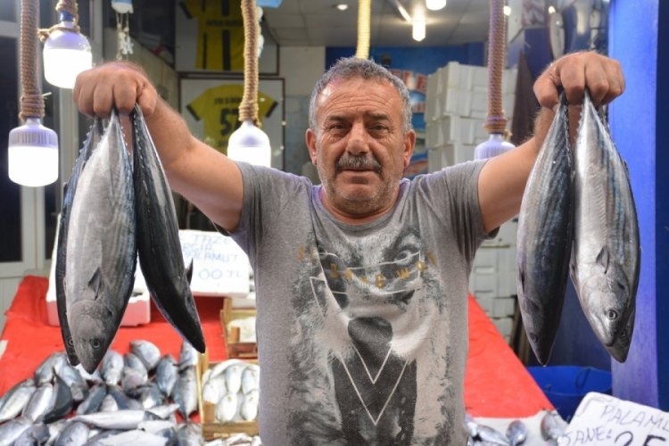 Karadeniz'de palamut bereketi s&uuml;r&uuml;yor