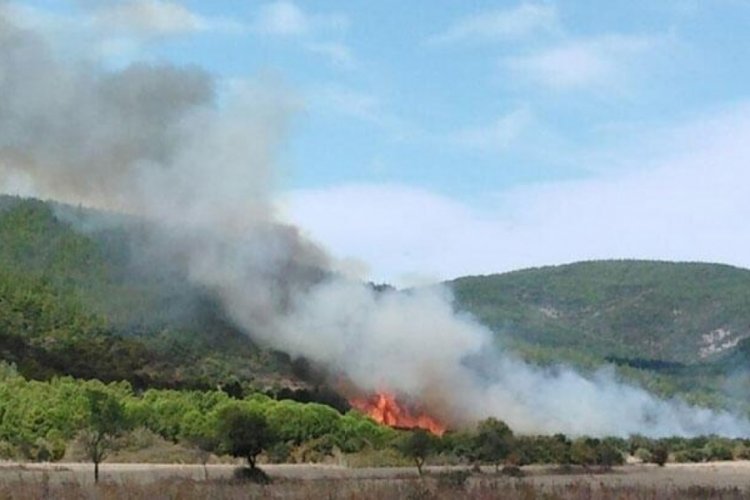&Ccedil;anakkale'de orman yangını kontrol altına alındı