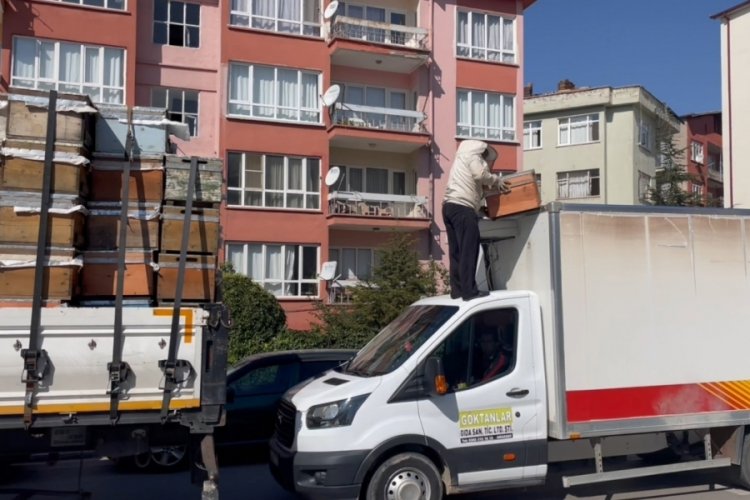 Aksaray'da 450 arı kovanı y&uuml;kl&uuml; TIR, kamyona &ccedil;arptı