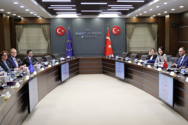 Hazine ve Maliye Bakanı Nebati, AB Finansal Hizmetler temsilcisiyle bir araya geldi