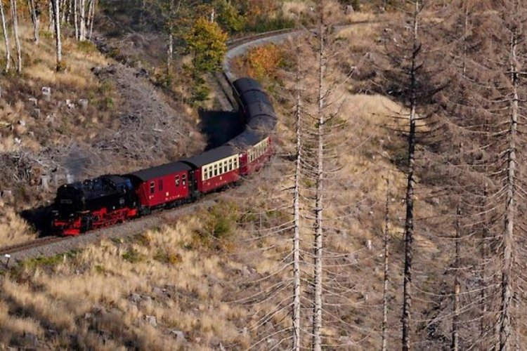 Almanya'nın kuzeyinde demiryolu ulaşımı durdu