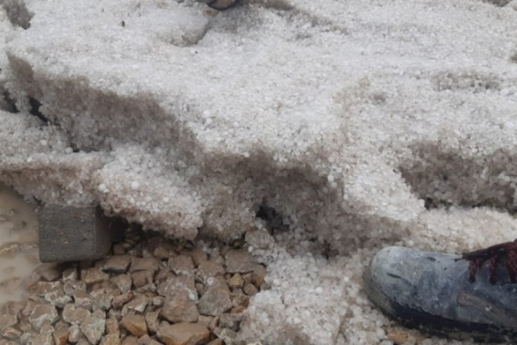 Dolu ve yağış Artvin'de sele neden oldu