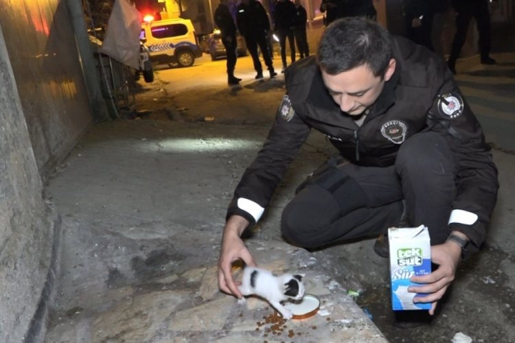 Bursa'da polisler "hırsız var" diye tırmandı, evden yavru kedi &ccedil;ıktı