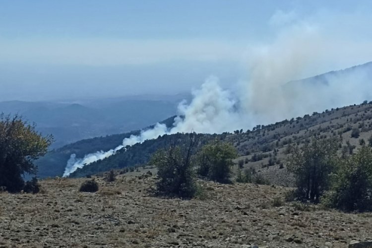 İzmir'de orman yangını