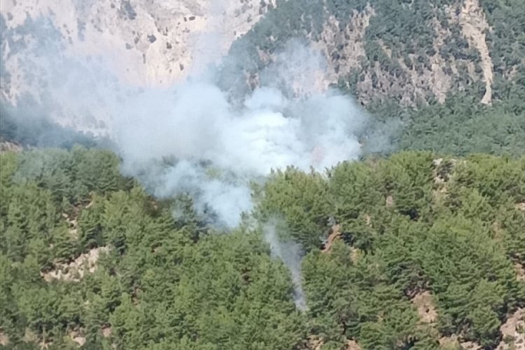 Muğla'da &ccedil;ıkan orman yangınında 1 hektar alan zarar g&ouml;rd&uuml;