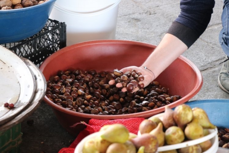 Zonguldak'ta kestane pazara indi, kilosu 45 TL