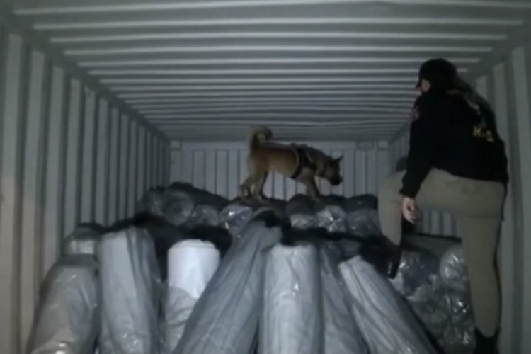 Meksika-T&uuml;rkiye hattına operasyon: 1.5 ton marihuana