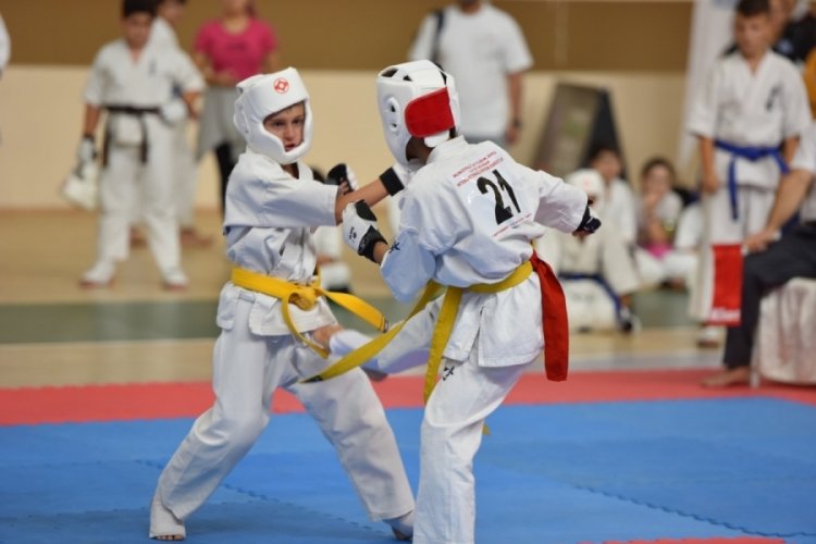 Bursa Yıldırım'da Karate Kupası d&uuml;zenlendi
