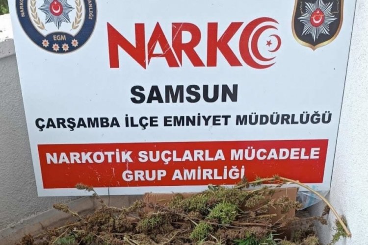 Samsun'da 9 kilo 975 gram esrar ele ge&ccedil;irildi