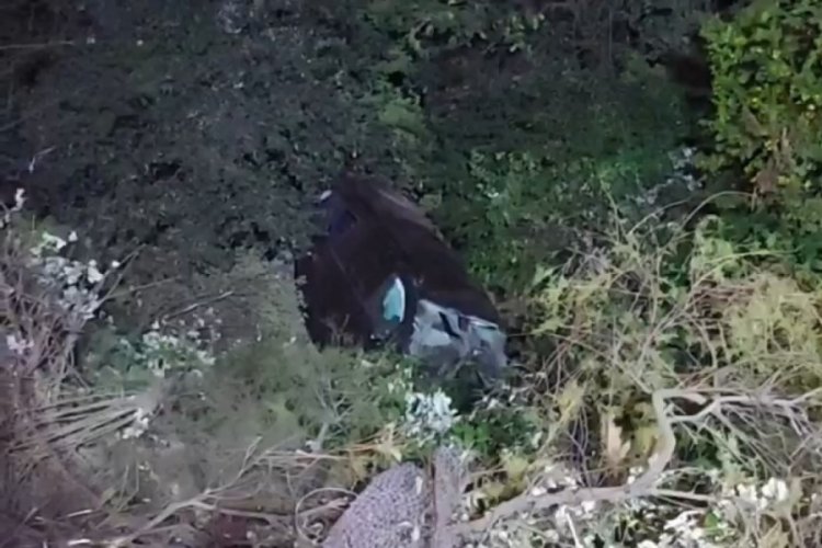 İstanbul'da minib&uuml;s ağa&ccedil;lık alana u&ccedil;tu