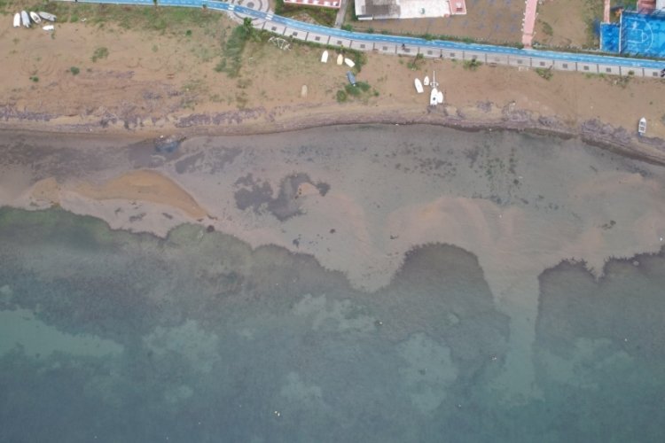 Yalova'da deniz suyu 10 metre &ccedil;ekildi