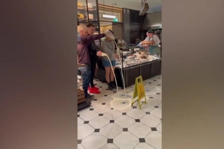 İsko&ccedil;ya'da veganlar s&uuml;tleri par&ccedil;alayıp yere d&ouml;kt&uuml;