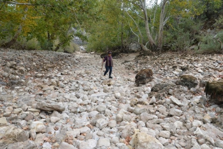 Antalya'da &Uuml;z&uuml;mdere Irmağı kurudu, yavru alabalıklar telef oldu