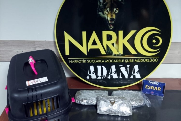 Kedi kafesinin i&ccedil;inde 480,37 gram esrar ele ge&ccedil;irildi