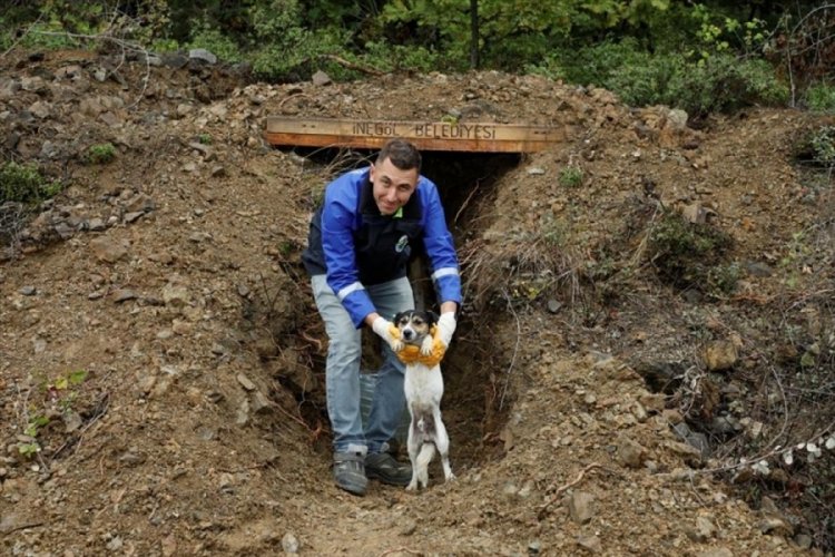 Bursa İneg&ouml;l'de sokak canları korunaklı yuvalara kavuştu