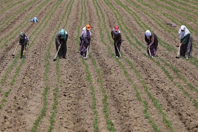 Bakan Kiriş&ccedil;i: Kadın &ccedil;ift&ccedil;ilere 10 milyar liralık destek sağladık