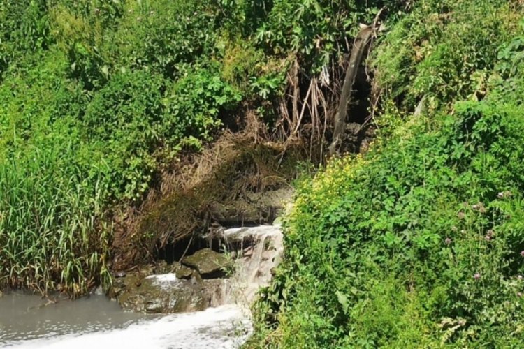 Yıllardır kirliliği nedeniyle g&uuml;ndemde! Bursa'daki Karsak deresine neden &ccedil;&ouml;z&uuml;m bulunmuyor?