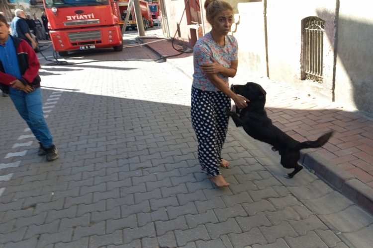 Balıkesir'de yangından k&ouml;pek havlaması kurtardı: 1 ağır yaralı