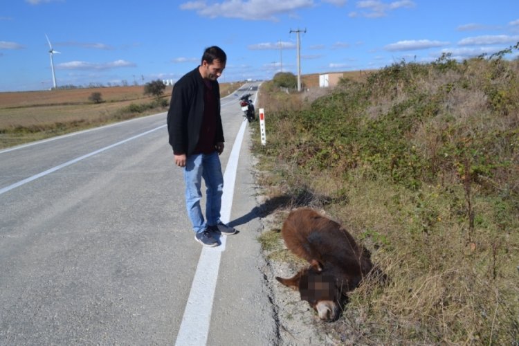 Tekirdağ'da &ouml;nce &ccedil;arptı sonra &ouml;l&uuml;me terk etti