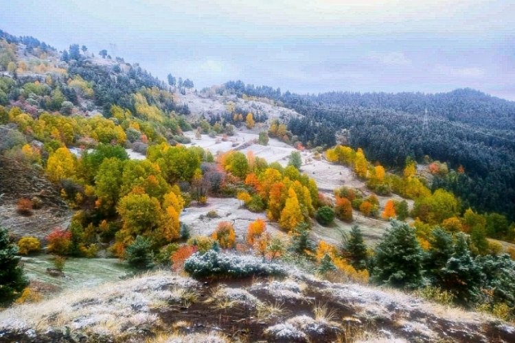 Artvin kar yağışı sonrası beyaza b&uuml;r&uuml;nd&uuml;