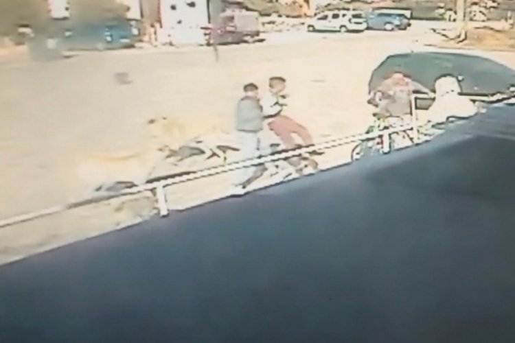 Edirne'de sahipsiz k&ouml;pekler &ccedil;ocuğa saldırdı