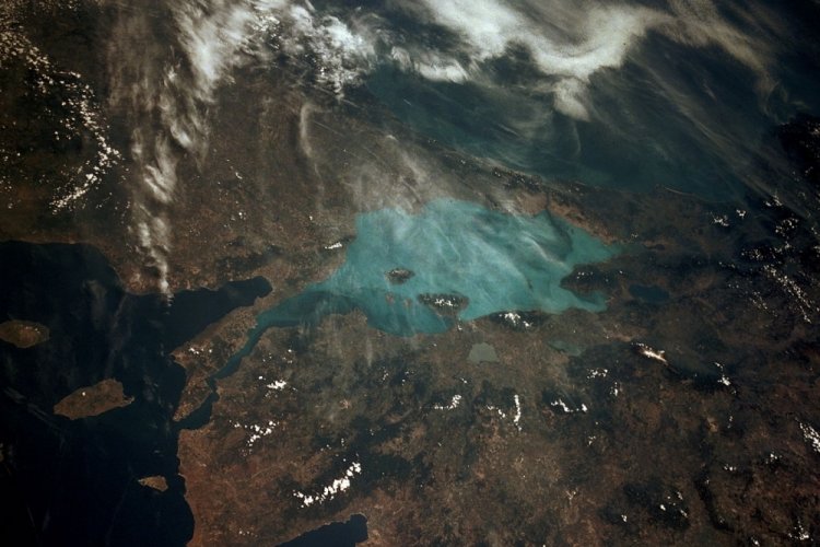 Marmara Denizi i&ccedil;in felaket! 'T&uuml;m biyo&ccedil;eşitliliği kaybedebiliriz'