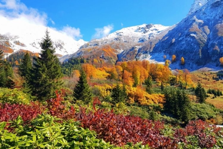 Artvin, sonbaharda bir başka g&uuml;zel