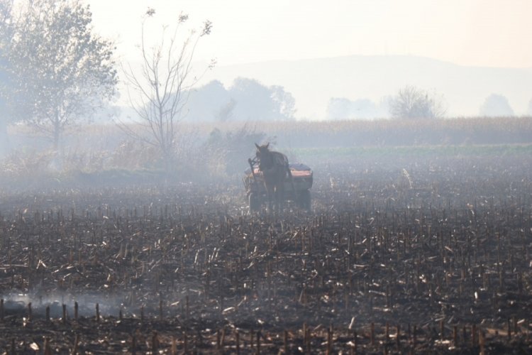 Sakarya'da anız yangınları ekipleri harekete ge&ccedil;irdi