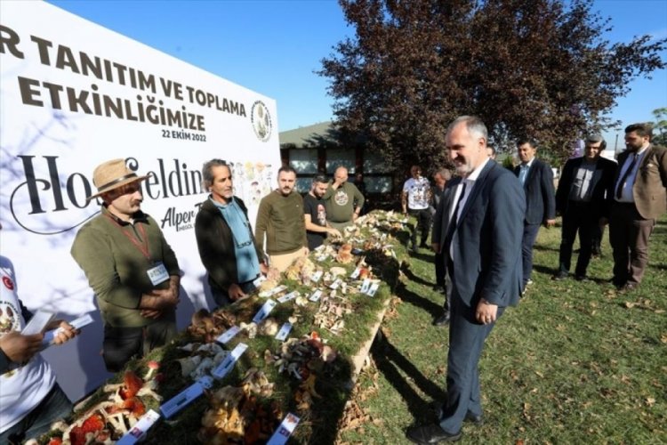 Mantar avcıları Bursa İneg&ouml;l'de buluştu