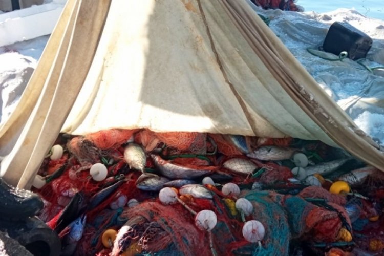 &Ccedil;anakkale Gelibolu'da balık&ccedil;ılar 4 bin &ccedil;ift palamut yakaladı