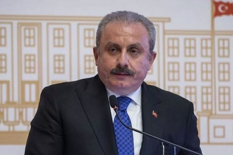 TBMM Başkanı Şentop, Hırvatistan Meclis Başkanı Jandrokovıc ile g&ouml;r&uuml;şt&uuml;