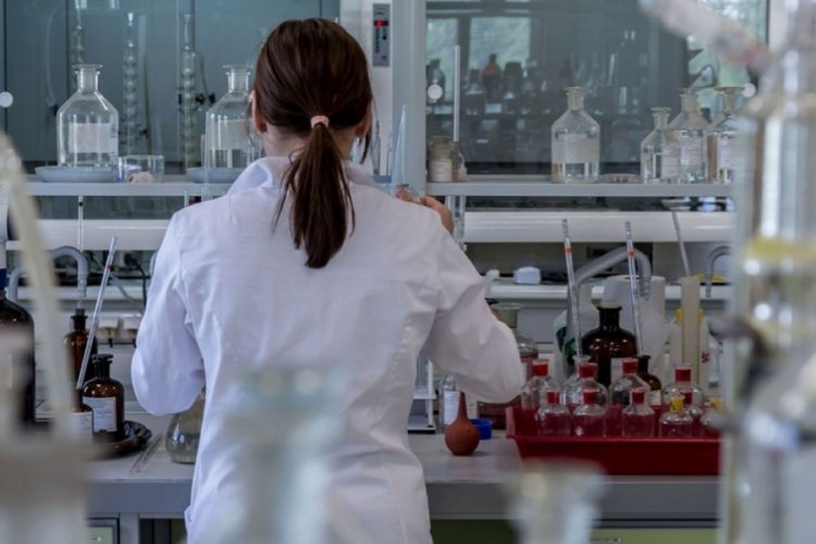 T&uuml;rkiye'de bir ilk yaşandı! DNA testiyle gelen 186 milyonluk miras