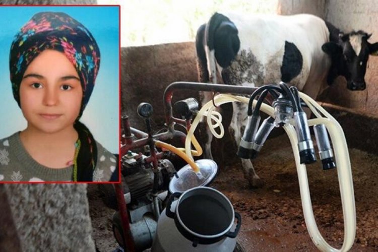 S&uuml;t sağmak i&ccedil;in indiği ahırda hayatını kaybetti!